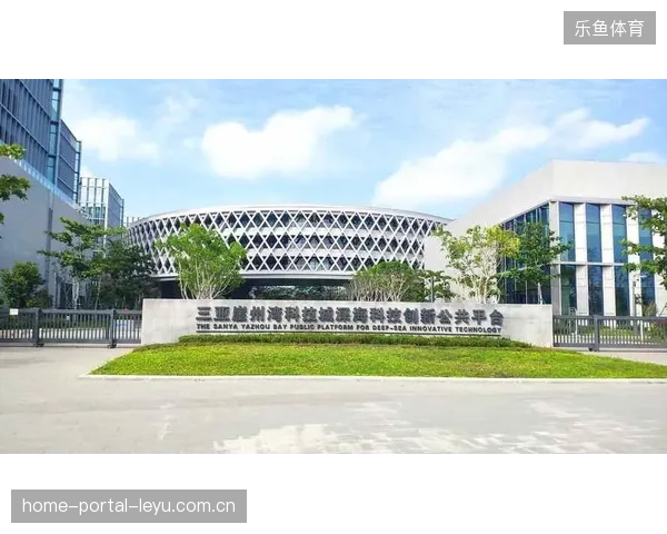 跨国赞助合同为何常在场馆排期与交付环节出现执行真空？